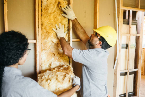 Best Soundproof Insulation Installation  in Park Center, CO