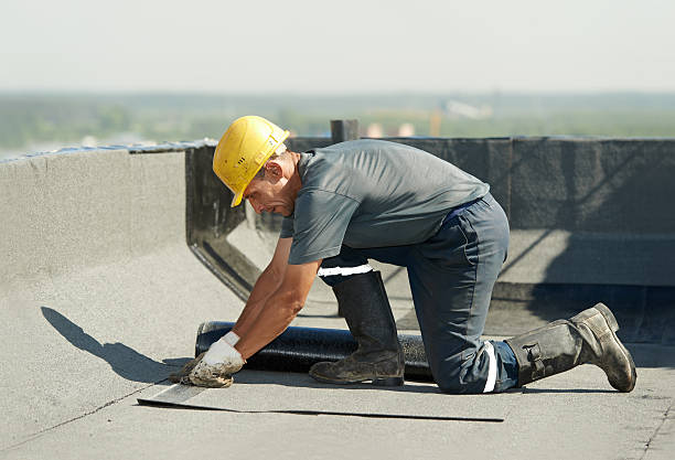 Best Insulation for New Construction  in Park Center, CO